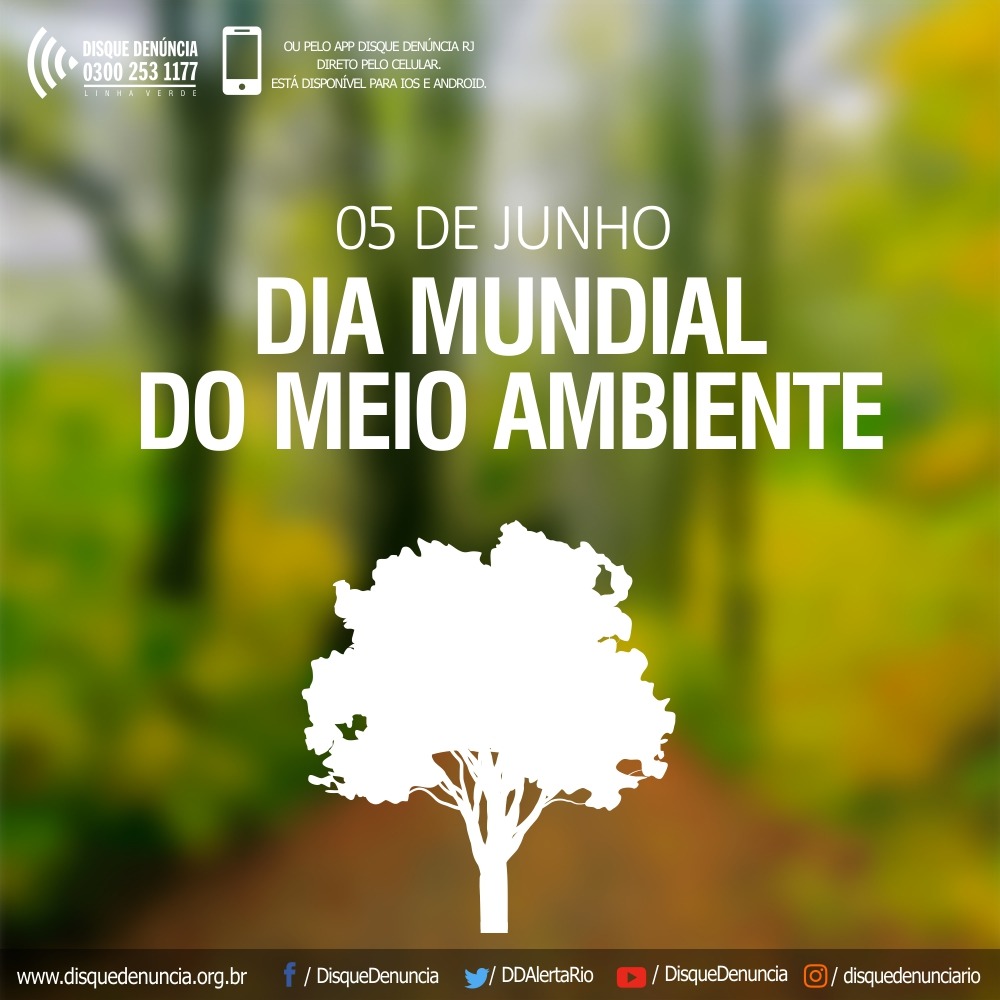 Notícia